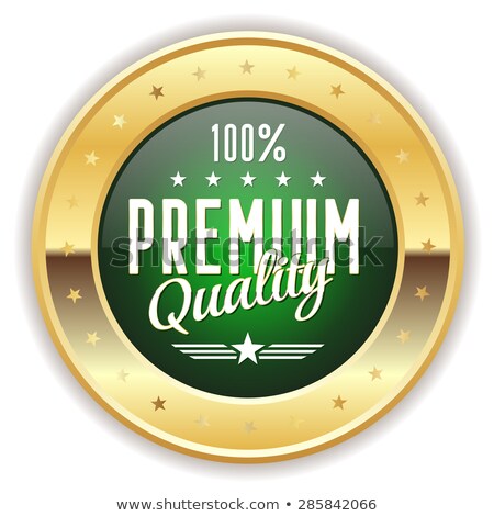 Stock fotó: Top Quality Green Vector Icon Button