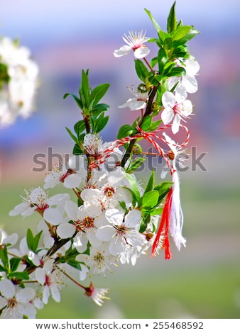 Сток-фото: Martisor - Romanian Symbol Of The Beginning Of Spring