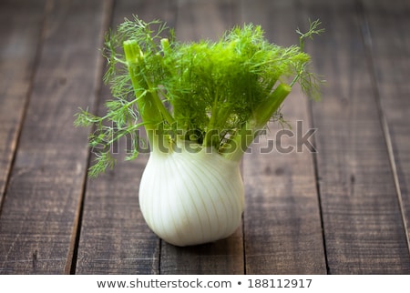 Foto stock: Fresh Fennel Full Of Vitamins And Fibers