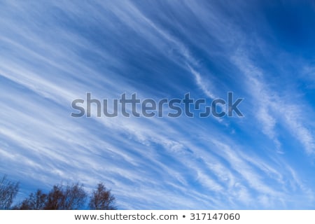 Zdjęcia stock: Long Cirrus Clouds Skyscape