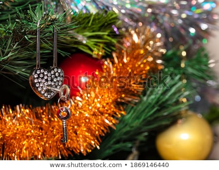 Stock photo: Red Padlocks Heart Shaped Close Up On A Blurred Background