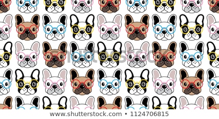 Stok fotoğraf: French Bulldog With Glasses