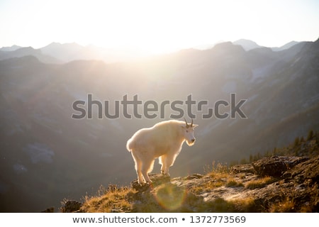 Stock photo: Sunset Views From Black Mountain Looking West