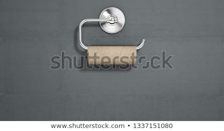 Stock fotó: Empty Toilet Roll On Chrome Hanger