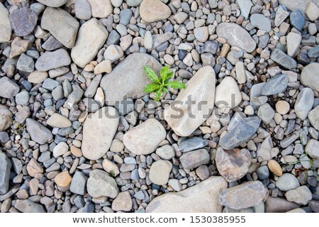 Zdjęcia stock: Road Punched Through The Rocks