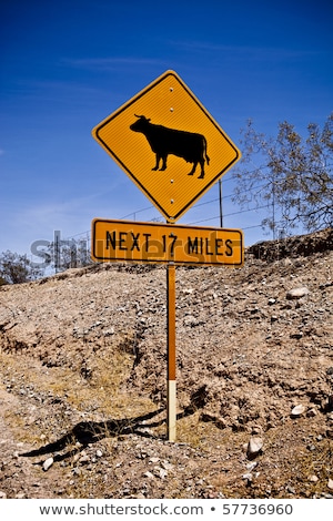 Foto stock: A Bright Yellow Cow Sign