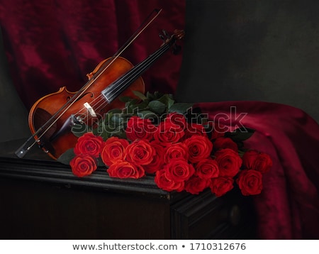 Foto stock: Beautiful Roses And Violin