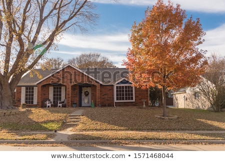 Foto stock: Colorful Autumn Trees In A Suburb Area