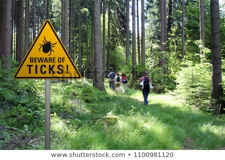 Stok fotoğraf: Warning Sign Ticks And Tick Bite