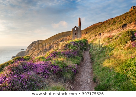 Сток-фото: Cornish Coastline In Summer England