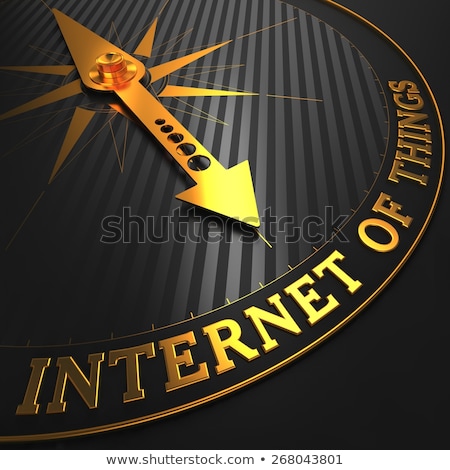 Stock photo: Internet Of Things - Business Background Golden Compass Needle