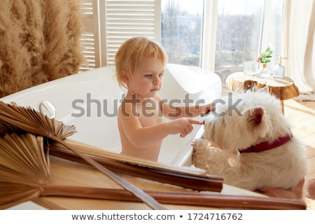 Zdjęcia stock: Beautiful Blonde Relaxing On The Couch With Pet Dog