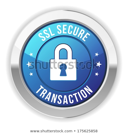 Foto stock: Secure Transaction Blue Vector Icon Design