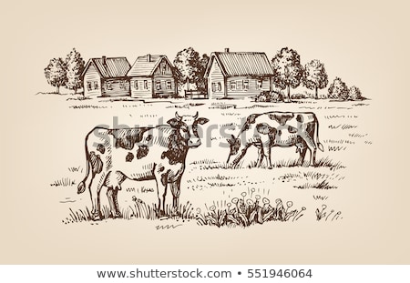[[stock_photo]]: Cow In The Village