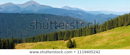 Foto d'archivio: Blue Mountains In Ukraine Carpathians