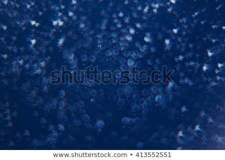 Stok fotoğraf: Abstract Deep Blue Background With White Circles Starry Sky Depths The Sea Universe