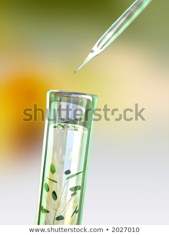 Stockfoto: Laboratory Glassware Genetically Modified Plant