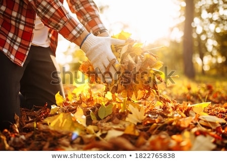 [[stock_photo]]: âteau