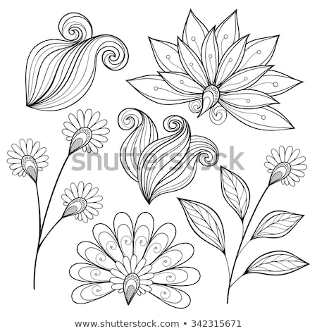 ストックフォト: Monochrome Floral Design Element In Doodle Line Style