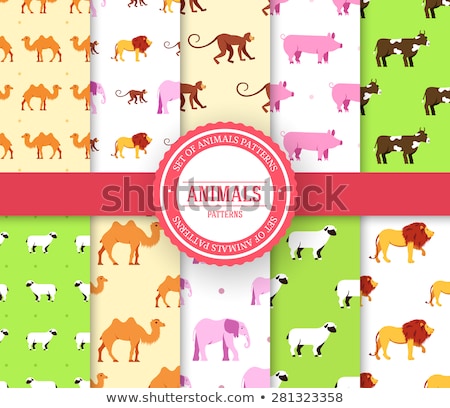 Foto stock: Collection Set Of Animal Seamless Pattern Lion Monkey Camel Elephant Cow Pig Sheep With Label