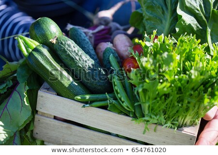 Foto d'archivio: Farmer And Farm Products