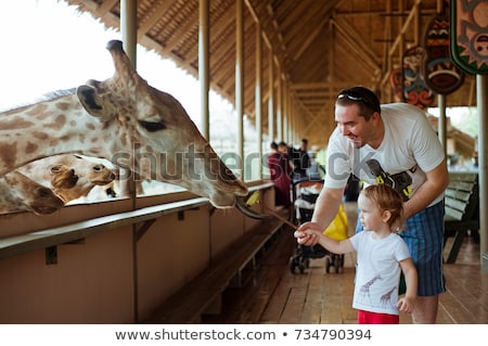 Foto d'archivio: Father And Son Watching And Feeding Giraffe In Zoo Happy Kid Having Fun With Animals Safari Park On