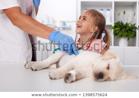 Сток-фото: Little Girl Attending The Examination Of Her Labrador Puppy Dog