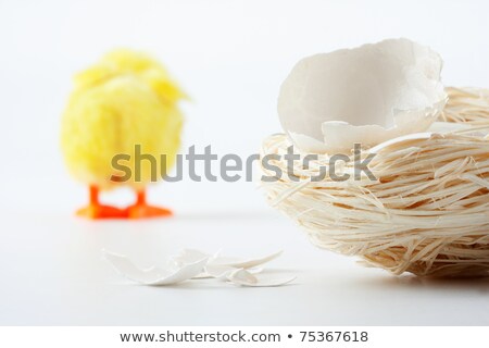 Stock photo: Eggshell Cracks And Walking Away Chicken