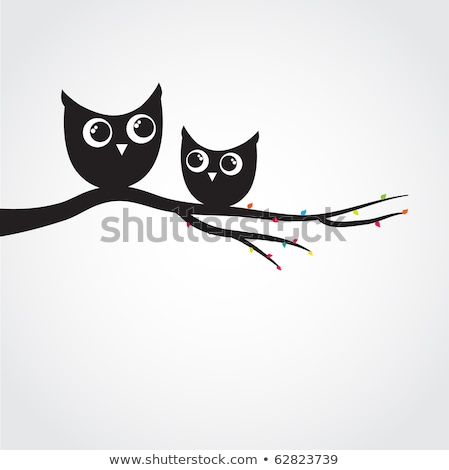 Stok fotoğraf: Two Cute Decorative Owls