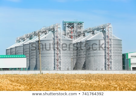 Foto stock: Towers Of Grain Drying Enterprise At Sunny Day