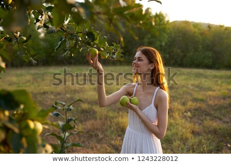 ストックフォト: Young Girl With Hand Picked Apples