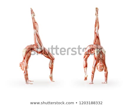Stock fotó: 3d Female Medical Figure With Skeleton In Yoga Pose