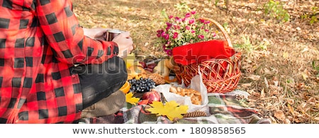 Stock foto: People On The Picnic