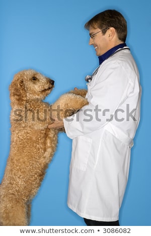 Kaukázusi Férfi Goldendoodle kutyával Stock fotó © iofoto