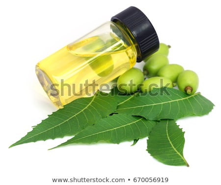 Zdjęcia stock: Tangerines With Leaves And Bottle Of Essential Citrus Oil On A White Background