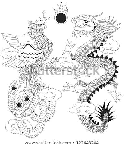 Stok fotoğraf: Dragon And Phoenix With Clouds Outline Illustration