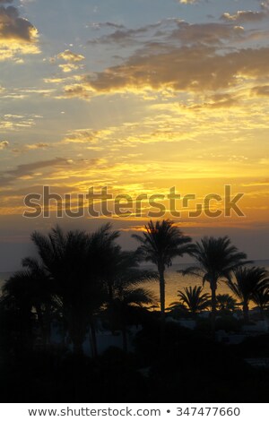 Stock fotó: Seaview Of Cloudy Early Morning