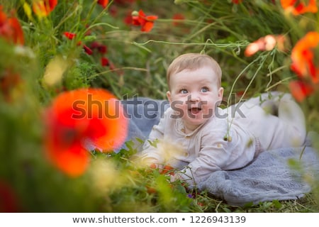 Stok fotoğraf: Little Baby Boy Posing On Poppy Fields