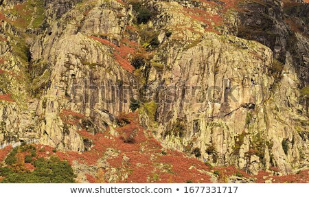 Stok fotoğraf: Rock Climber Fell From A Cliff