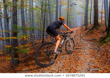 Foto stock: Mountain Biker Riding On Bike In Summer Sunset Woods