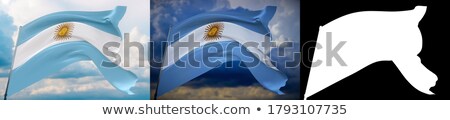 [[stock_photo]]: Composite Image Of Close Up Of Argentina Flag Waving