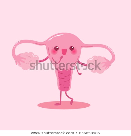 Foto stock: Female Uterus And Ovaries Health