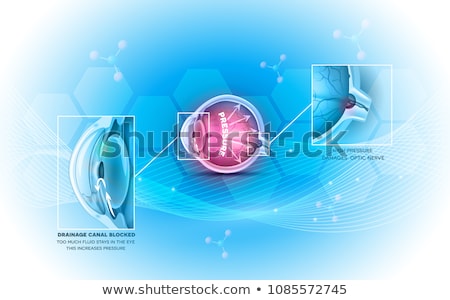 Foto stock: Human Eye Anatomy On A Beautiful Abstract Glowing Background