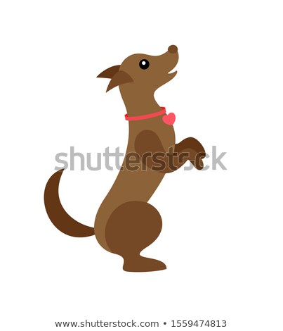 [[stock_photo]]: Dog Wearing Bow On Neck Pet Canine Jumping Up