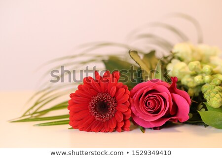 Stock foto: Orange Gerber Daisy Laying On White Wooden Table