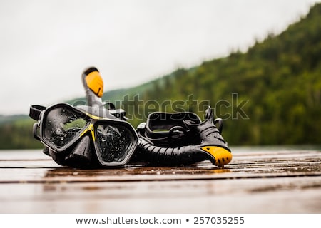 Stock fotó: Snorkeling Mask And Tuba On Dock