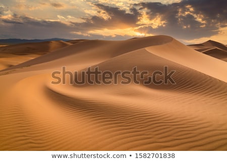 Stok fotoğraf: Sunset Over The Dunes Morocco Sahara Desert