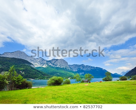 Stock fotó: Cows Mountain Lake Austria