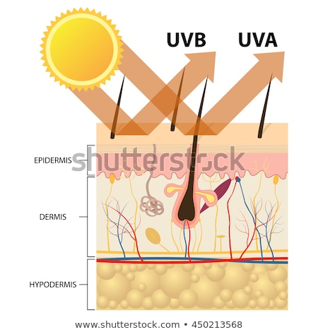 Protect Human Skin From Uva Uvb Ray Foto d'archivio © Neokryuger