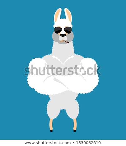 [[stock_photo]]: Lama Alpaca Strong Cool Serious Animal Smoking Cigar Emoji Be